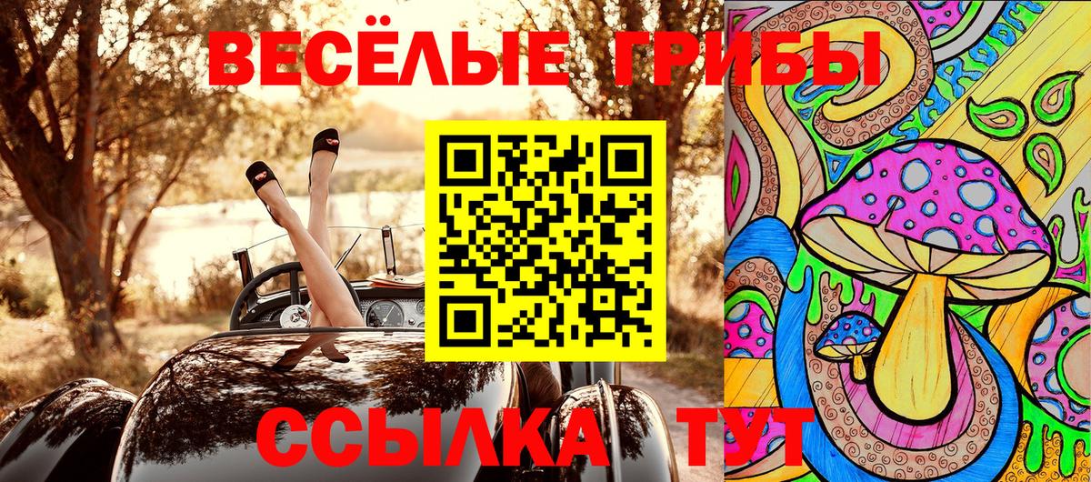 дарнет шоп  Галлюциногенные грибы ЛСД  Мценск  Вход с VPN  Галлюциногенные грибы мухоморы 